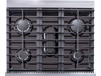 THOR Kitchen 30-Inch Liquid Propane Range – LRG3001ULP